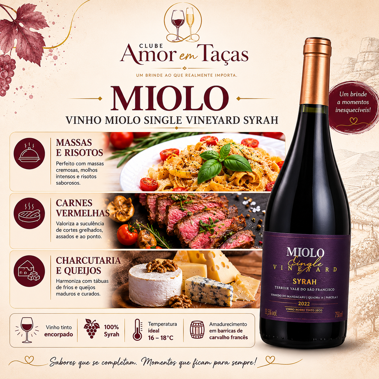 Sugestões de harmonização com vinho