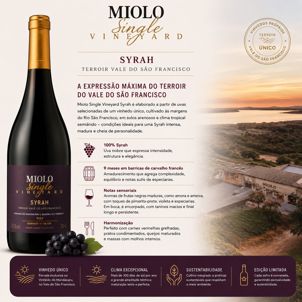 Arte com qualidades do vinho Miolo Syrah